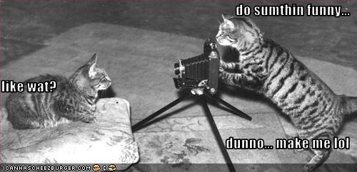 shmidt.net