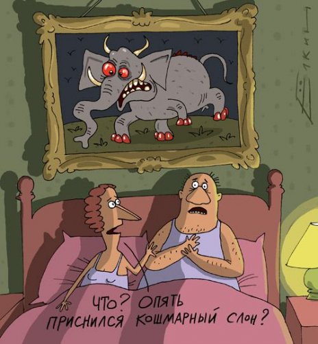 shmidt.net